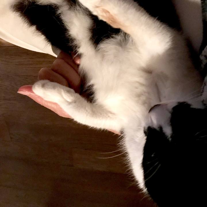 Ecfb410e 51ff 4217 ab1b b6f40b21e6b9 1536368663354