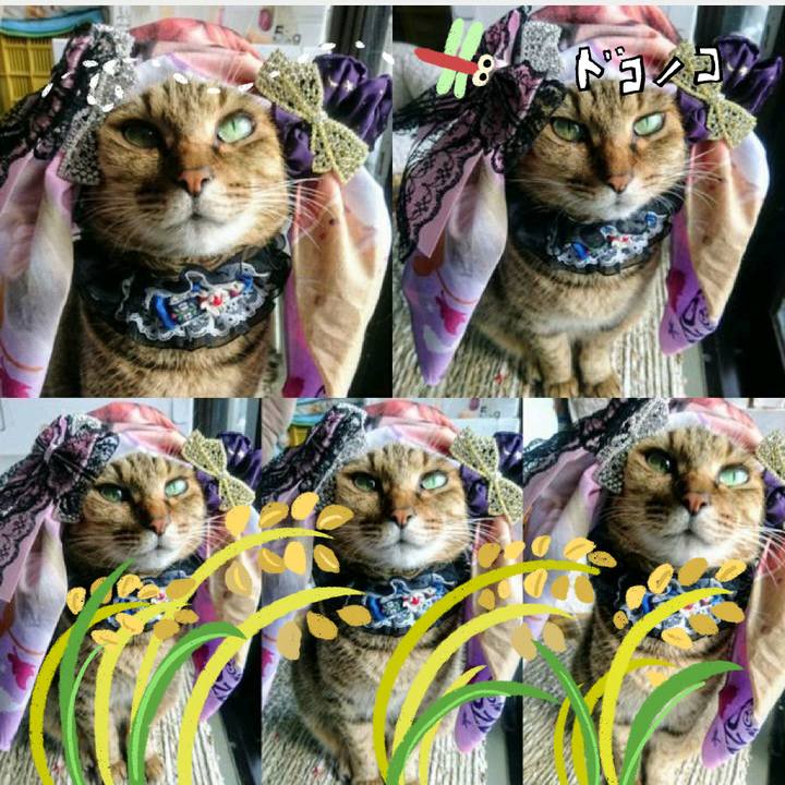 Ecfb4ee8 6067 48e8 9be6 271501d5db7f 1763943140378