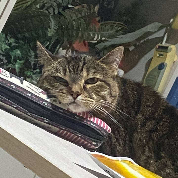 Ecfb505d 4bd6 4080 ba6c cceb90827b9b 1752073074259