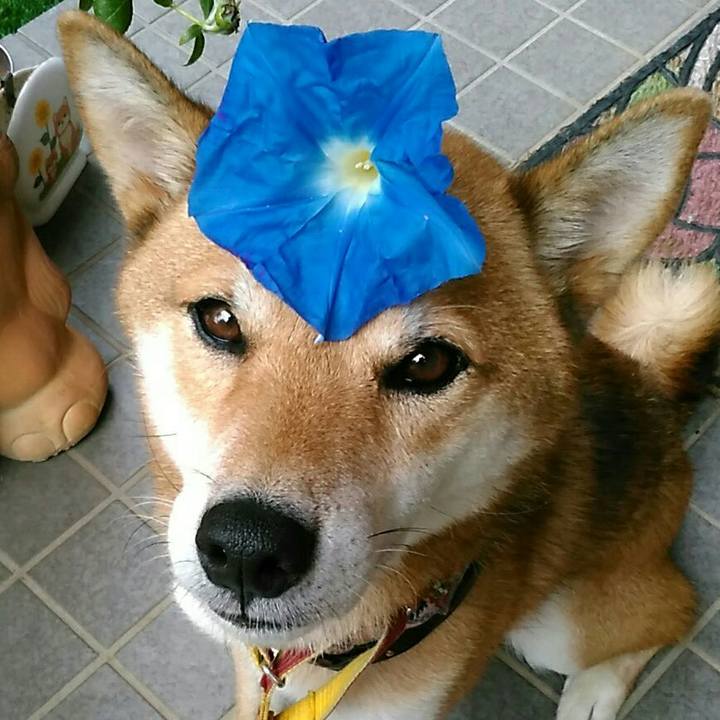 Ecfb6cc9 2f08 4ca6 b4d9 a108d9ce799c 1536539240705