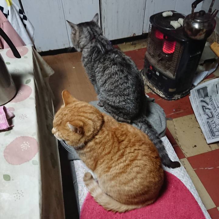 Ecfb739a 6cd4 4fb6 817f d7cbd9c6a824 1578260567724