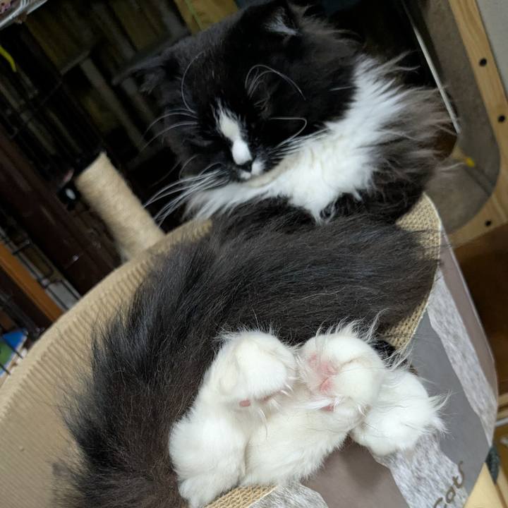 Ecfb8608 3bbd 4a33 b510 035ecb50fd26 1745756801943