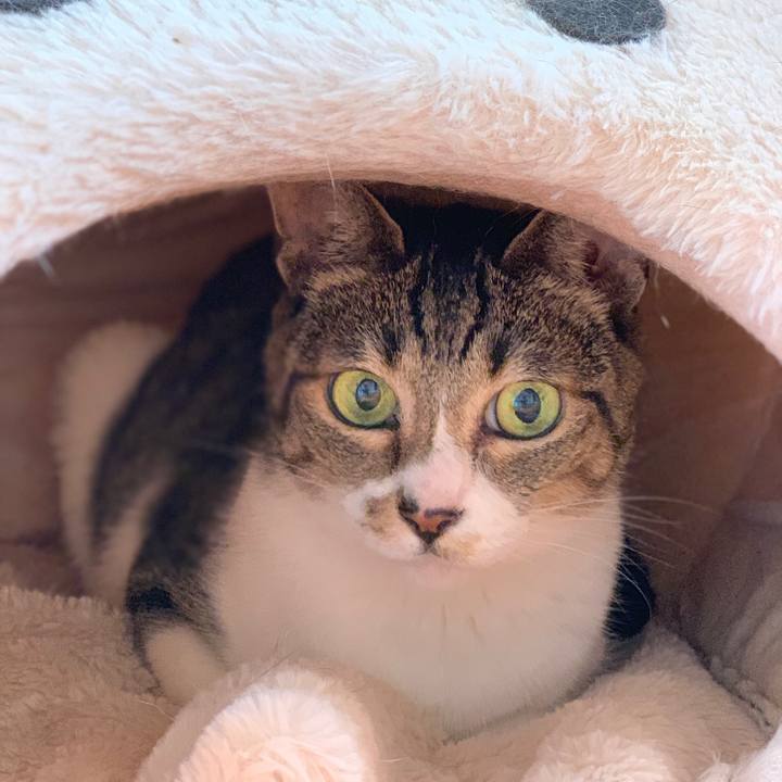 Ecfbc6b6 7605 4994 a28b fa49247595cb 1566431640499