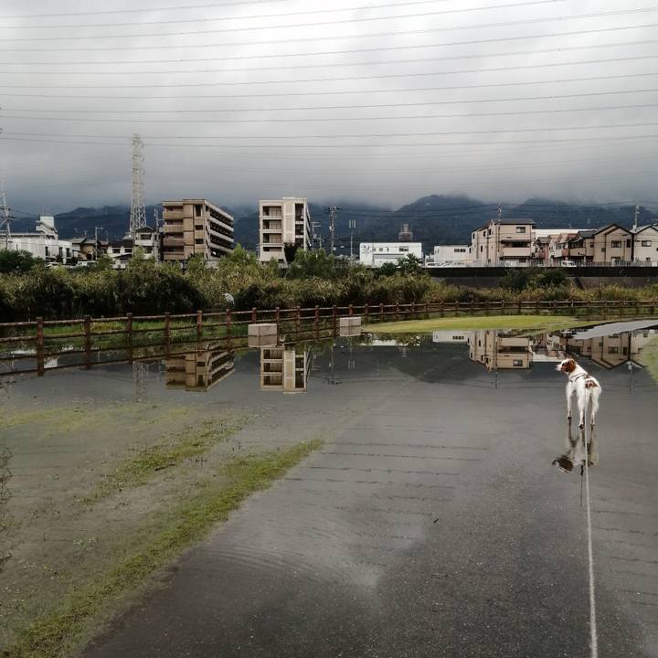 Ecfc0016 46fa 4da0 ba85 473ba37c8fde 1572003496275