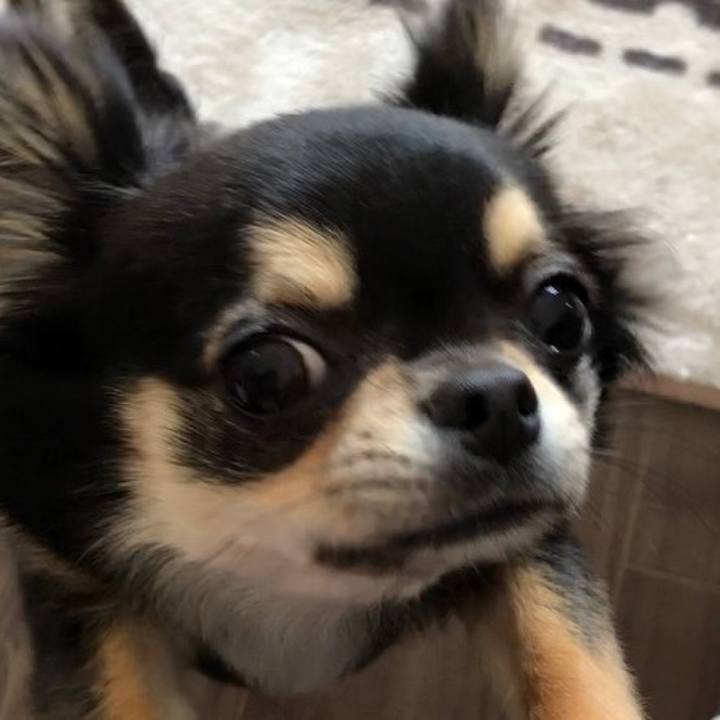 Ecfc0fce 8cd7 4632 8023 ffed363d250f 1552347095354