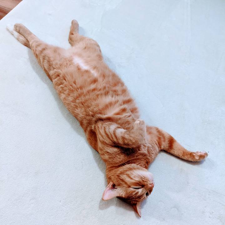 Ecfc1e7f f454 4f1b 8846 ab7eb4543930 1631925707740