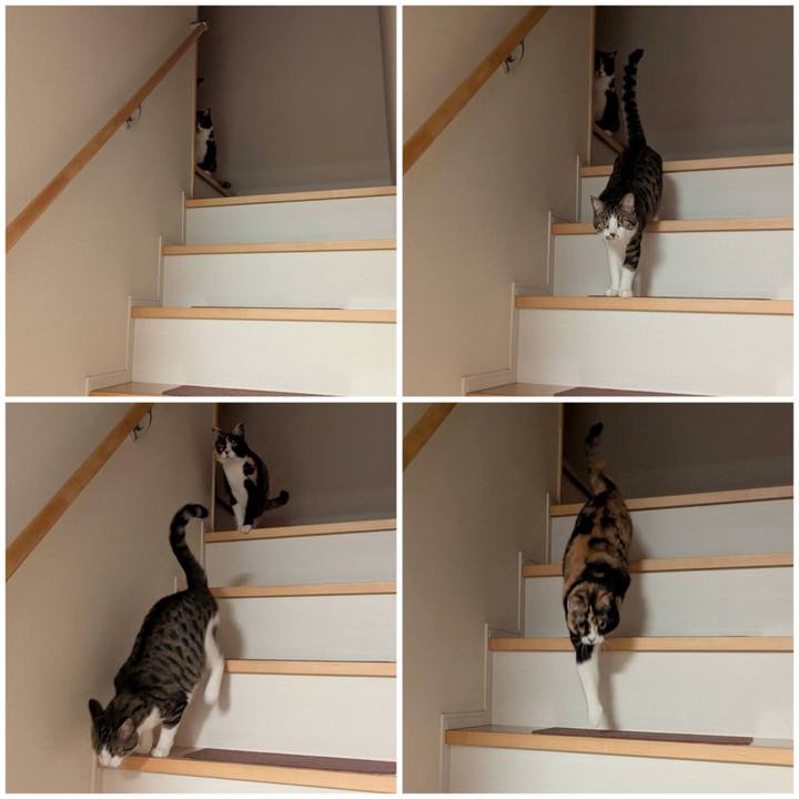 Ecfc307a 13ce 4c1b 95c4 e3292acb610d 1748757017841