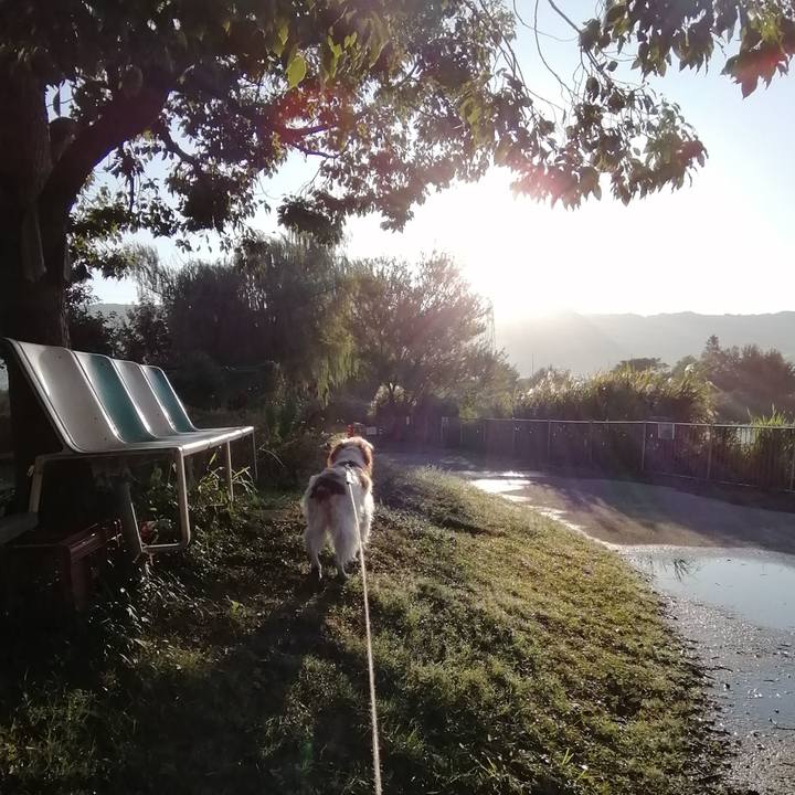 Ecfc73ad b95a 4fd4 9cd5 2747dce8775b 1572237626725