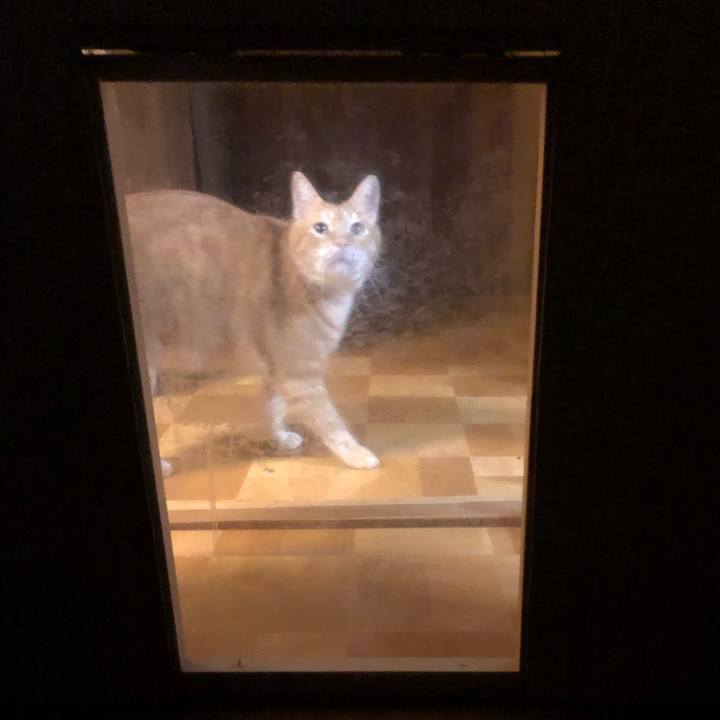 Ecfca70b b27b 4296 9ac2 585ba9221a02 1567093875147