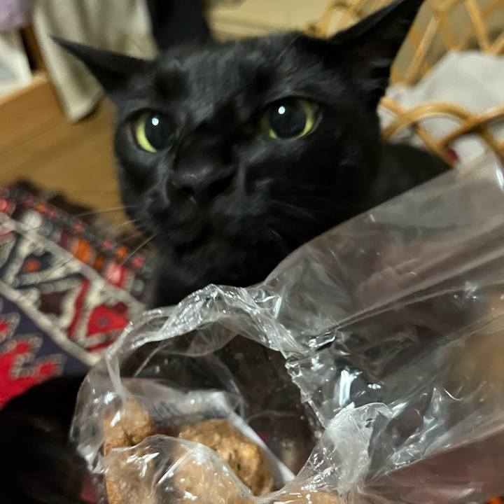 Ecfccedb 5d01 4fde a66f e499587cdb75 1721730913111