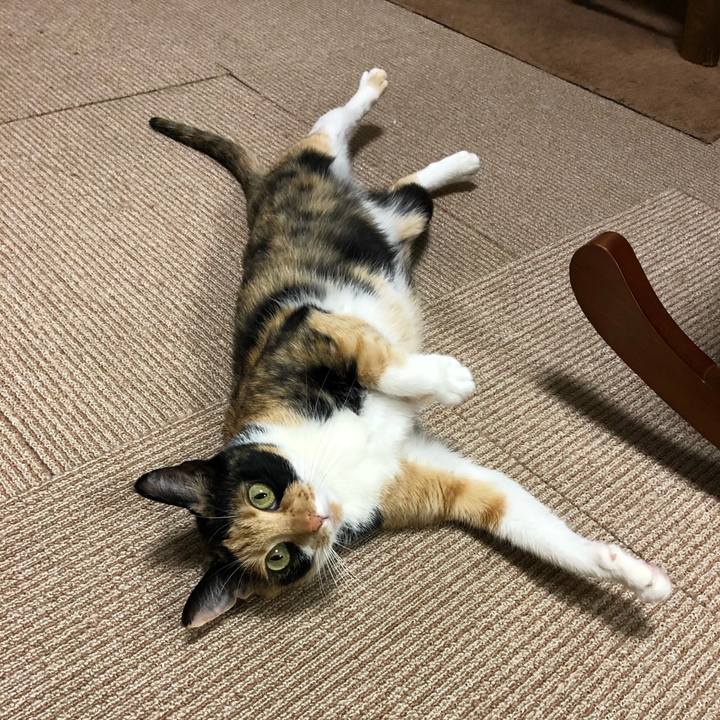 Ecfce25e 87b6 4dd7 b9d6 238ac8fe4cc9 1526729429688