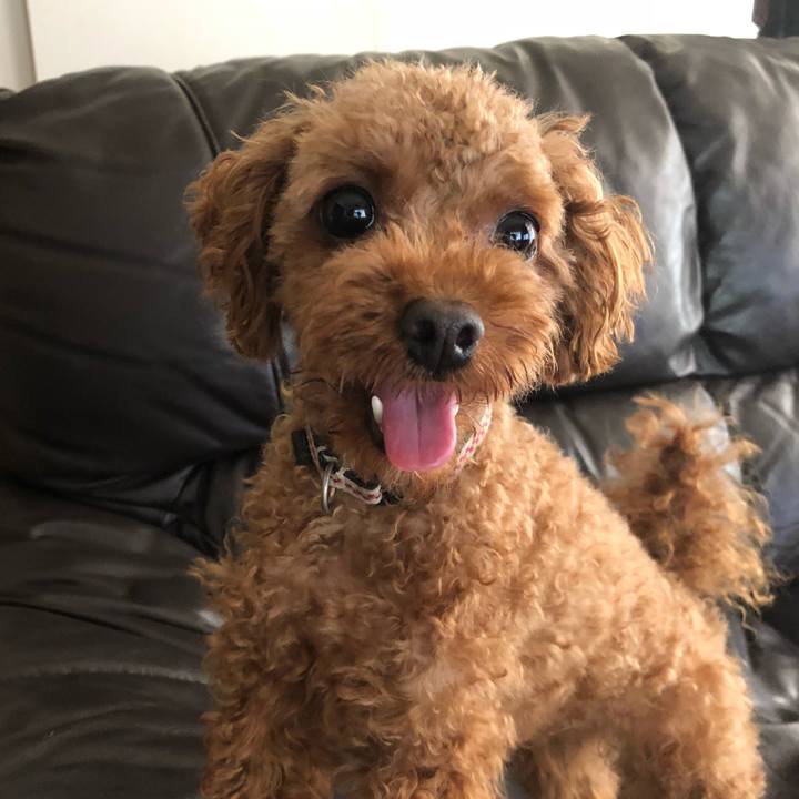 Ecfd0fa6 77c3 41df bb99 3bcb674d298f 1529965887600