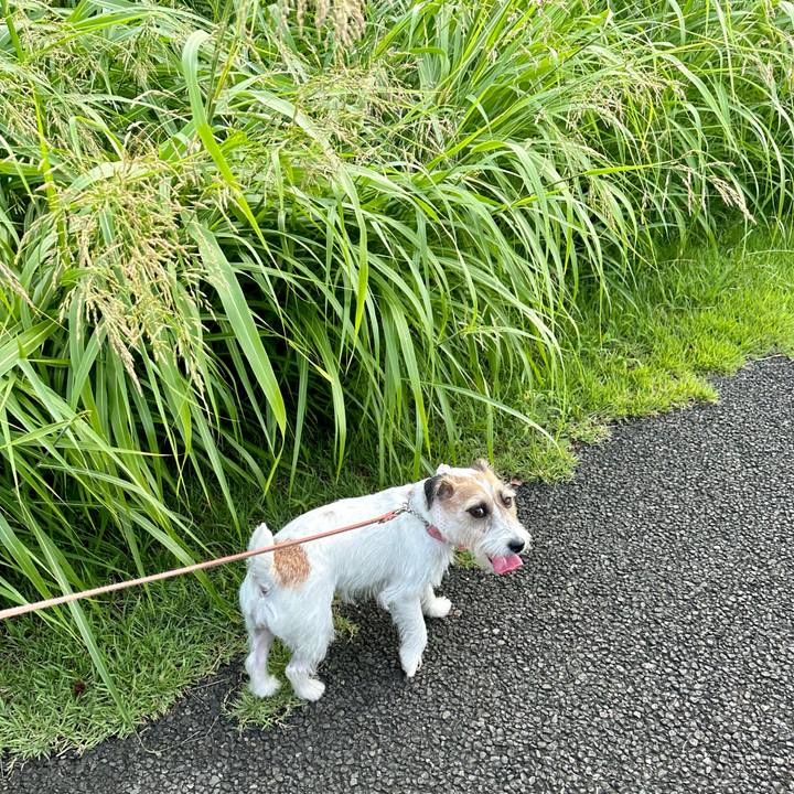 Ecfd14e8 0cb4 40d7 8bba e4b71a703960 1692243116553