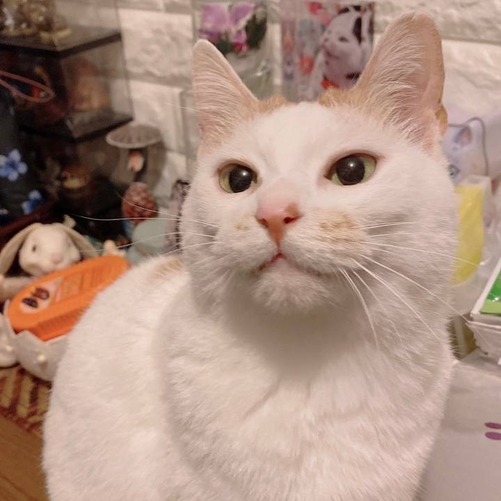 Ecfd1d28 57dc 4ff9 8adc 1cb0722e3d82 1651380236475