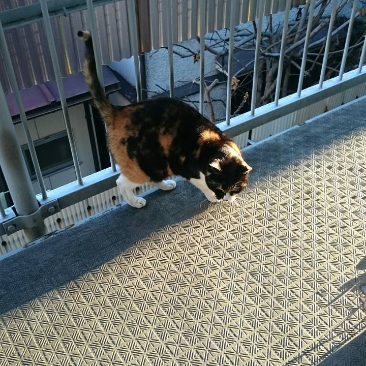 Ecfd8111 a8e2 4a6d 848b 114afc4490a3 1520825692298