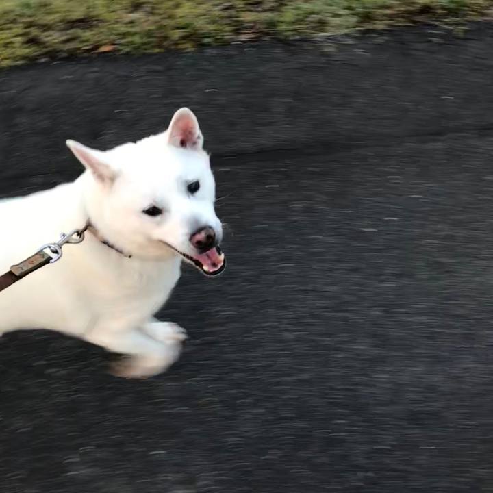 Ecfd9659 4290 42c6 8aff a667dff34ea4 1521805414687