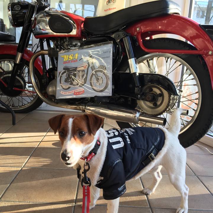 Ecfdafff 29b3 47dc 9b32 4bc173af297b 1520689789211