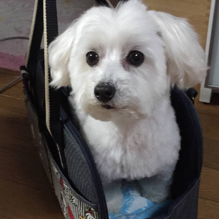 Ecfdc624 cff3 4e0d be5a 69ac665016e0 1519640688022