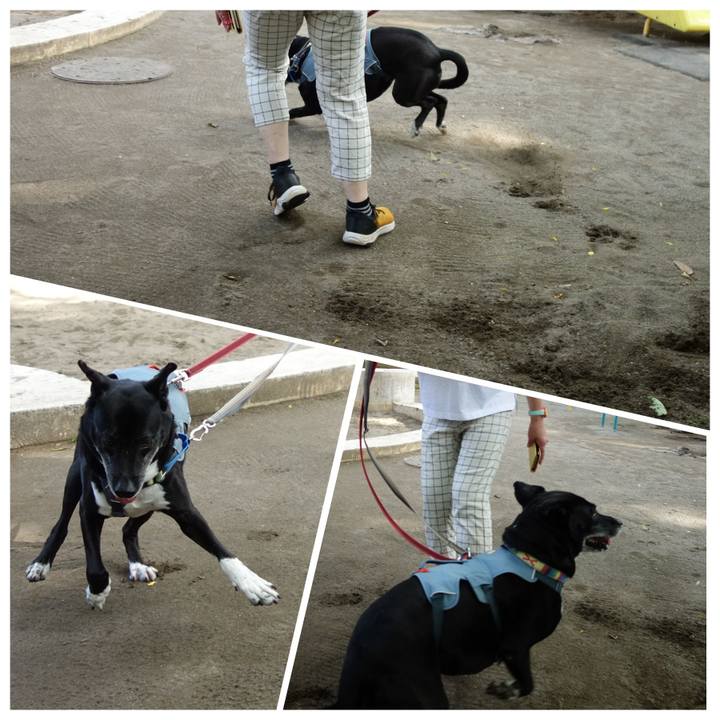 Ecfe47f9 9cbf 4e22 8ea4 2eb74de409e9 1718153138133