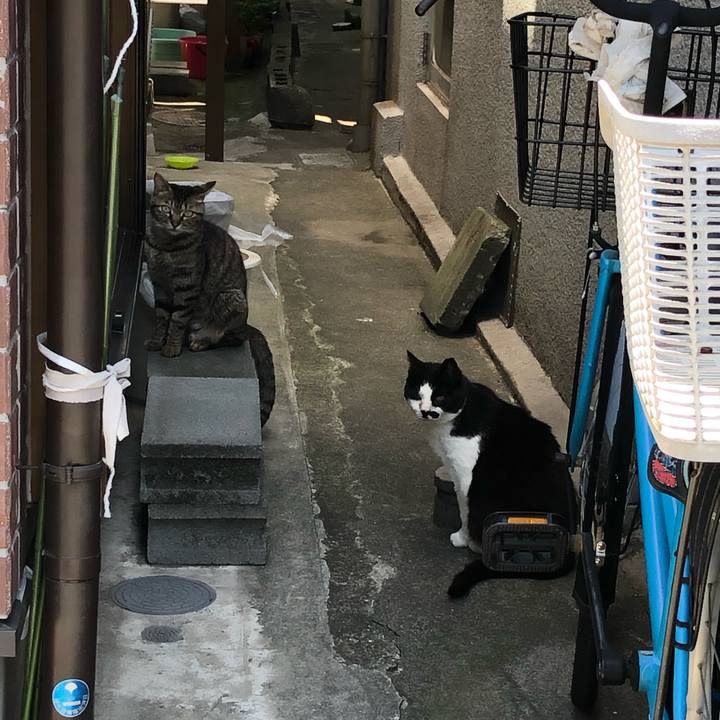 Ecfe9356 f189 4ffe 844b b22279fa69c6 1559127679776