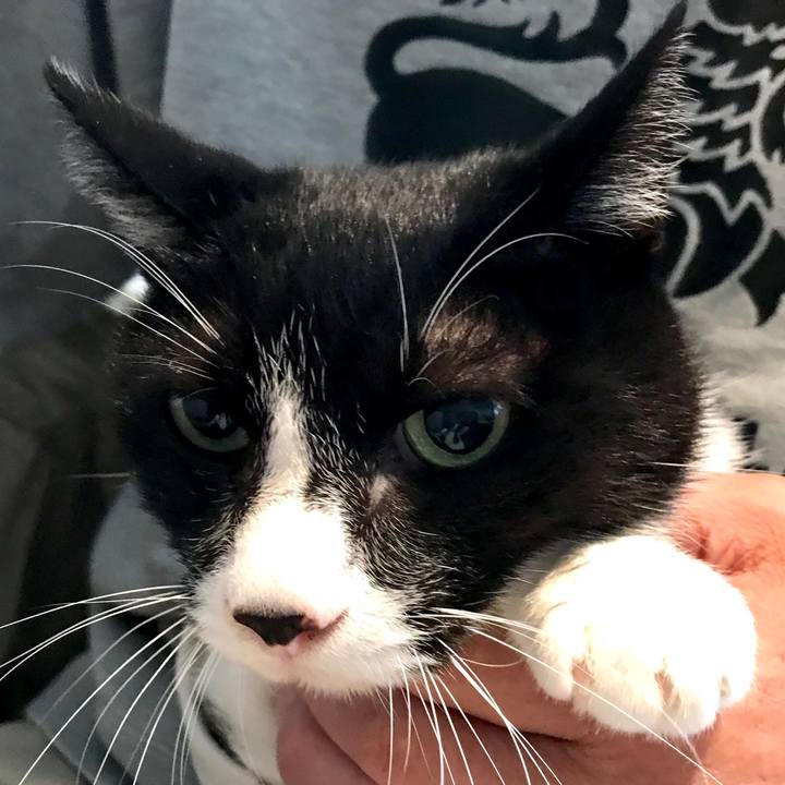 Ecfeae70 a8b7 45bb 9463 d11427dc6e98 1538278155228