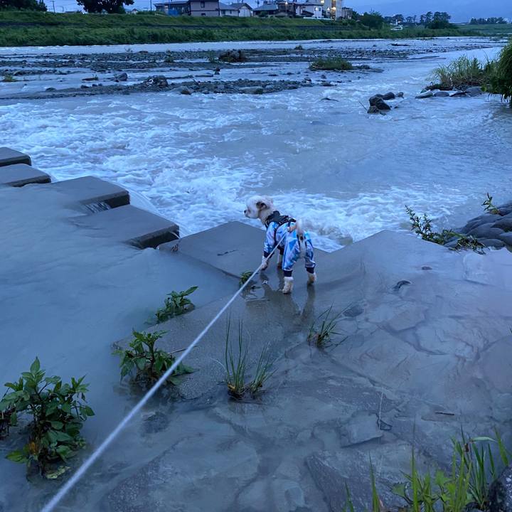 Ecfecf16 2133 4785 b398 c37081bd52ff 1594640896971