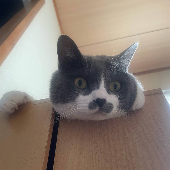 Ecff024f 2f17 4292 8821 589dcd7f57f9 1727222050152