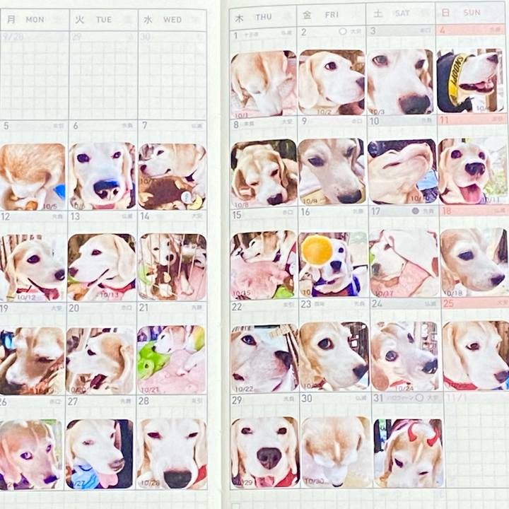 Ecff038c fffb 4897 9100 37dbb7768a31 1605450697826