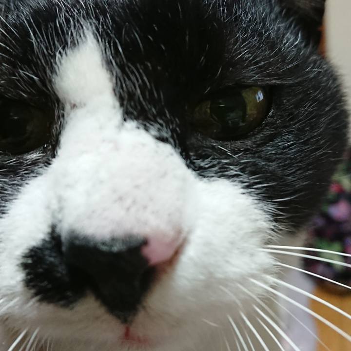 Ecff3d0d e06d 4bd7 a86f 4db101090328 1549943686935