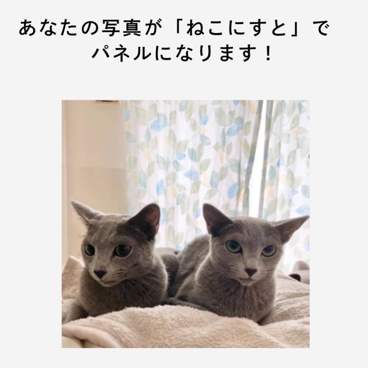 Ecff7fc9 b273 43b5 ba86 06f561612eca 1637729079051