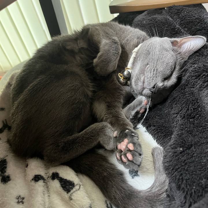 Ecff8066 d662 4701 9ac0 2aada9dc7eec 1703918792637