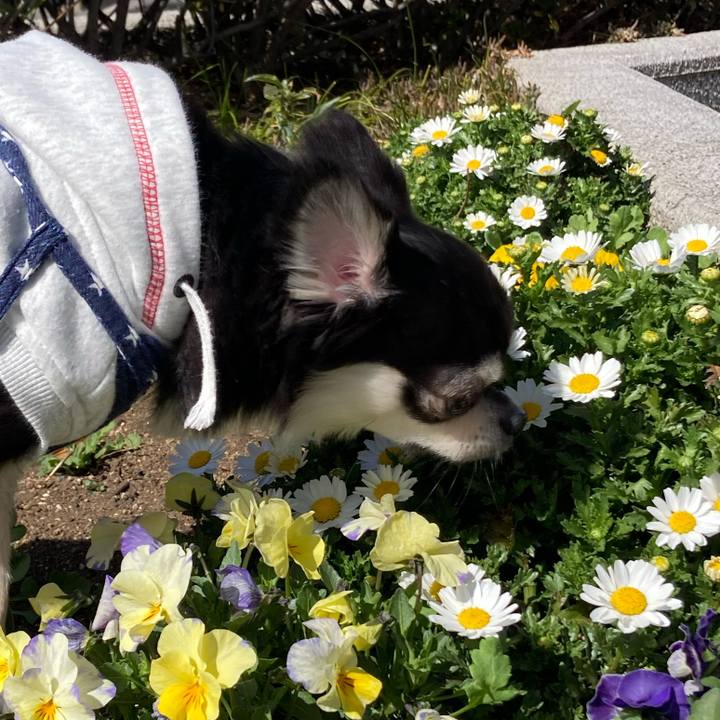 Ecffb491 e168 4434 87b2 515f92f6dd8c 1646544390100