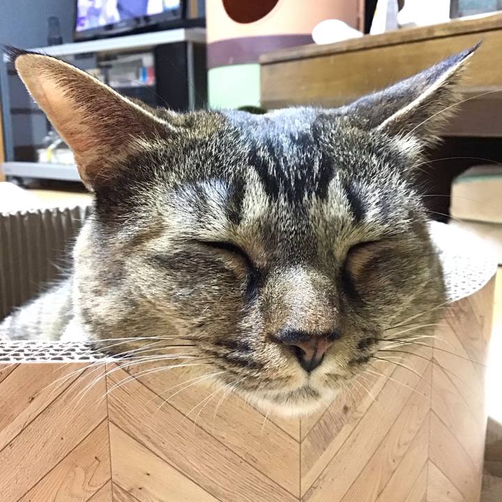 Ecffbb31 9360 41be afce 9f1fc9212a16 1698575371458