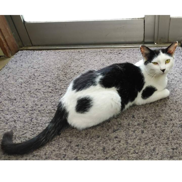 Ecffdae6 44ab 4f6e 9e46 46a3c0fb2732 1652444247731