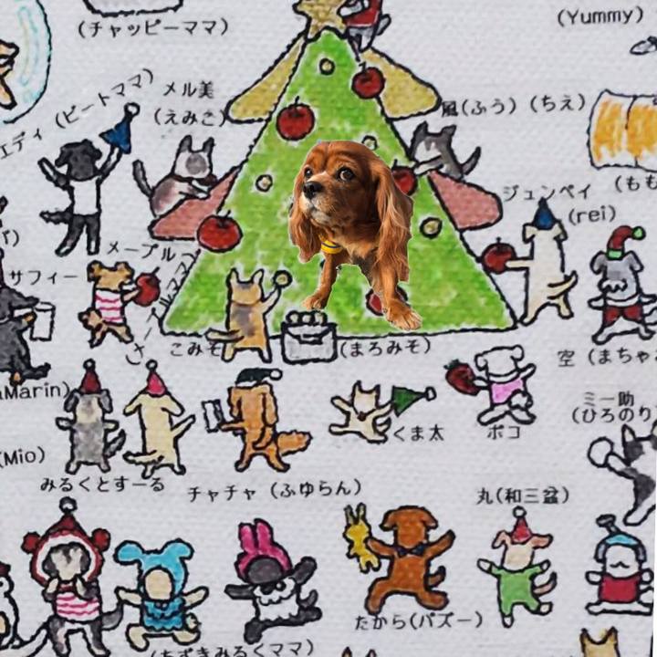 Ed000cdd 2046 490e a282 1373ed92c7d7 1640391074635