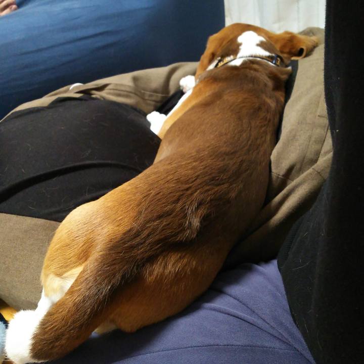 Ed003797 fed8 4102 84ee 07a862f43ae5 1589110888818