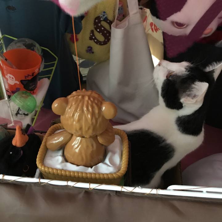 Ed00705a 96db 4644 97b9 6c1de29305d9 1508114051968