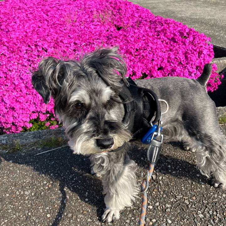 Ed00801a de01 4dbb ab1e 51c53b956919 1745715169092