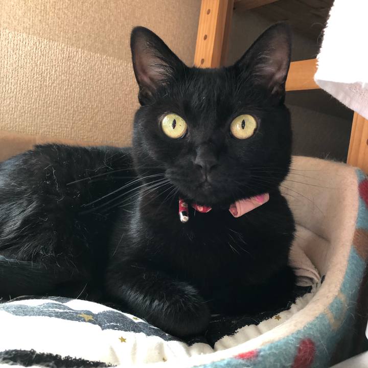 Ed0081b5 e40a 40a2 b28d 075e6cacfdce 1628203495960