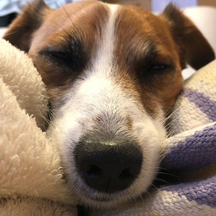 Ed008dcd b882 4871 9c2d 80e12adc8f53 1523709468292