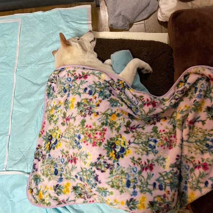 Ed00a06e 12df 4844 bf4f ff5b37134de4 1636294507579