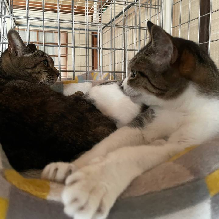 Ed00a458 50a1 402d 9d83 4e6612500bd9 1629417197261