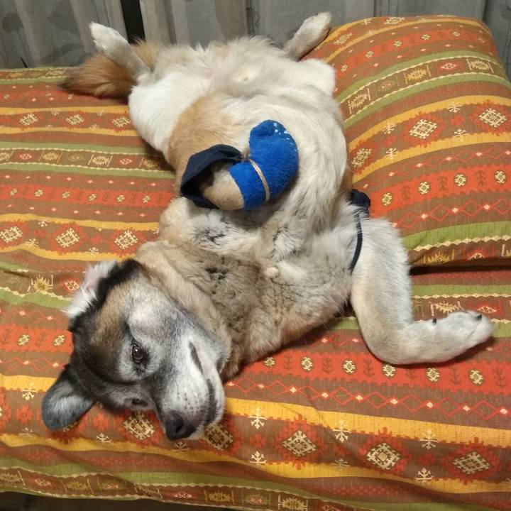 Ed00ada9 4c20 4b1f b9dc cbc5d385f41b 1559866452231