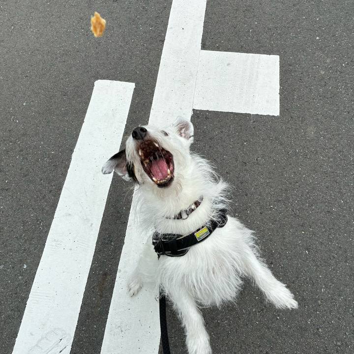 Ed00d42b 7153 4e14 8f66 4d99238853c5 1758323628898