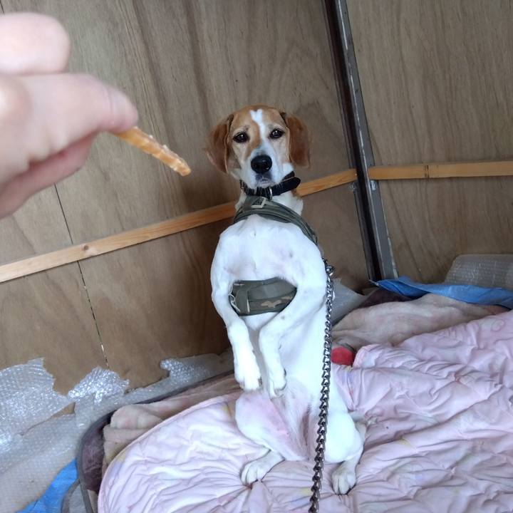 Ed00fdd9 7deb 4605 a08a 9fc63de39768 1687537323747