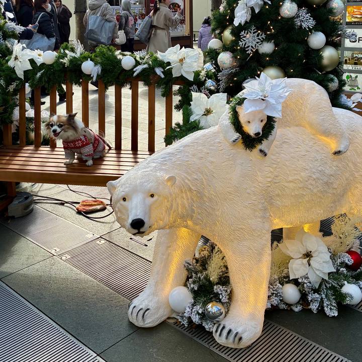 Ed01354a 85b6 44f9 8a86 ccc29e6205c3 1765684652482