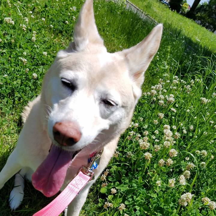 Ed013d2c d9ee 4c3d b961 8896dc5a4f32 1526289437334