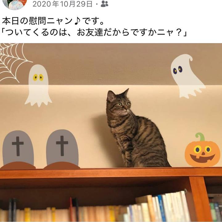 Ed0164ef 7d98 44c3 bca3 c4c2df63babd 1761700160896