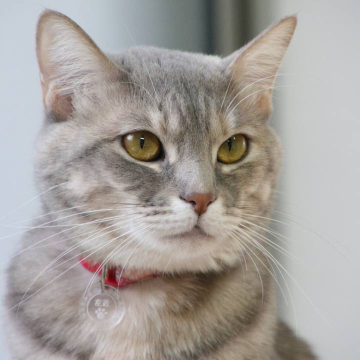 Ed0173e0 fe26 4057 8850 464423adbeff 1513563851434