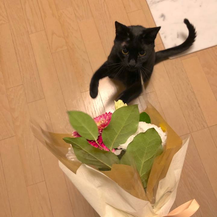 Ed0173e8 9c87 403b bde1 c2fc51a7b90e 1527172110528